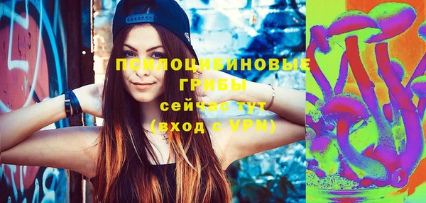 2c-b Белокуриха