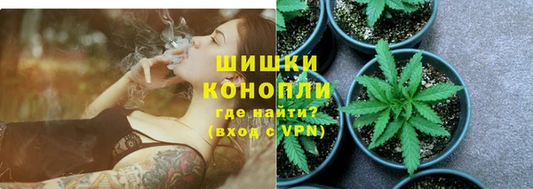 2c-b Белокуриха