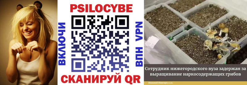 Псилоцибиновые грибы прущие грибы  площадка официальный сайт  Печора  хочу наркоту 
