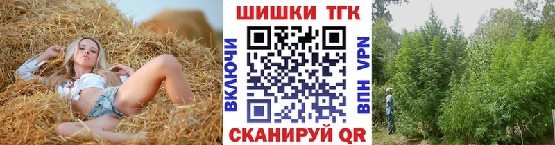 Канабис сатива  Печора 